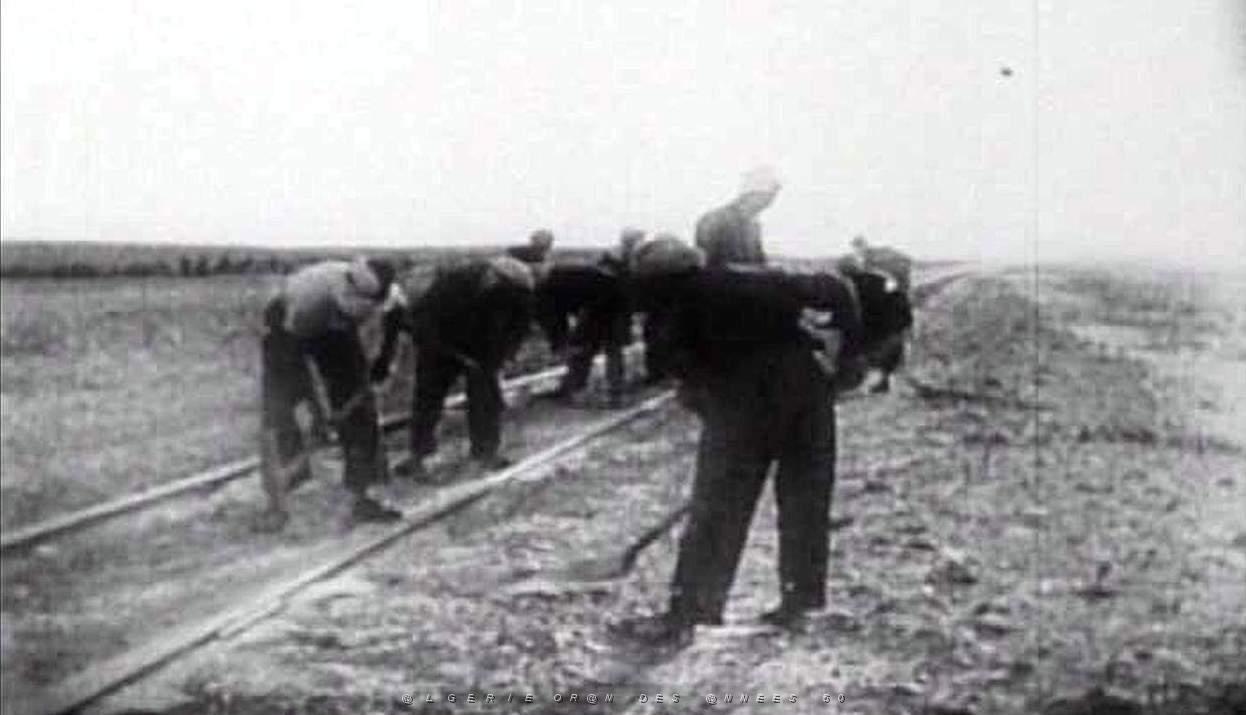 VALENCIENS EN ALGERIE 056.JPG